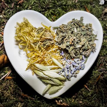 Dr. Elena Fenske, Naturopathic Doctor/ Women's Health & Fertility gallery image 5