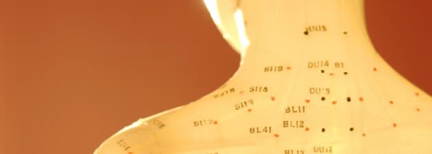 Feng Li Acupuncture Clinic gallery image 1