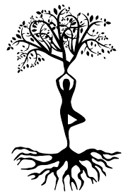 Fitomize Fitness gallery image 4