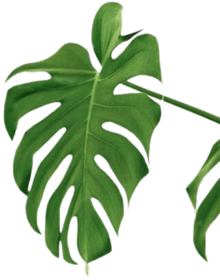 Flourix - Vancouver Massage Specialist gallery image 1