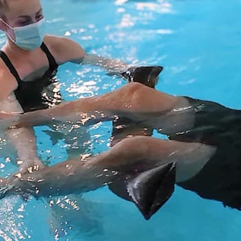 Fraser Valley Aquatic Rehabilitation gallery image 4