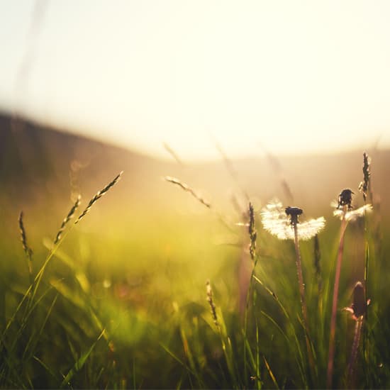 Free You Hypnotherapy. Life Coaching gallery image 5