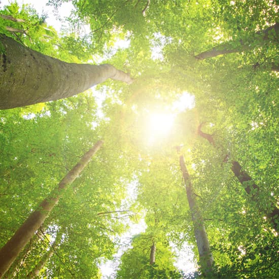 Free You Hypnotherapy. Life Coaching gallery image 4