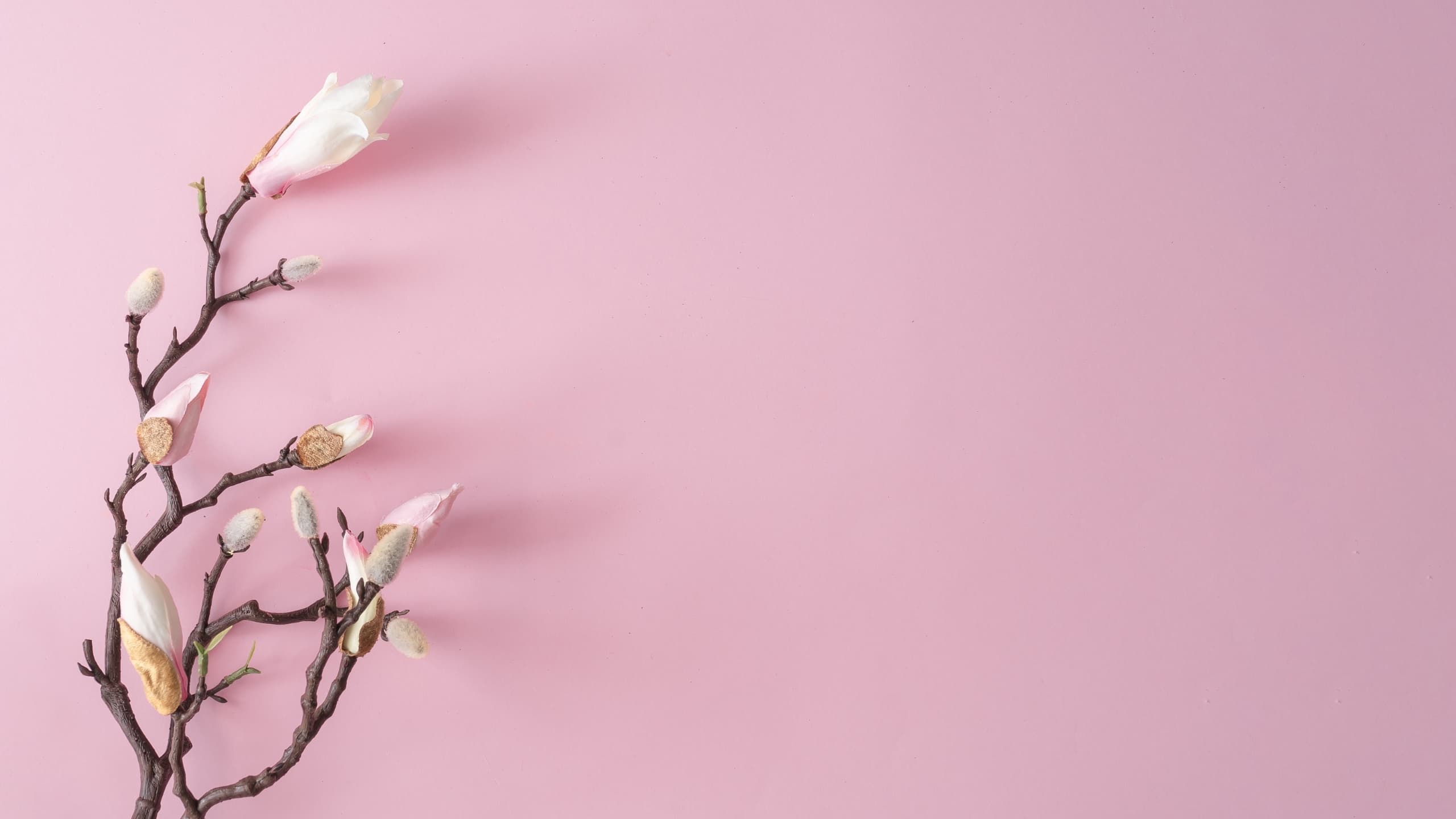 Grounded Hypnosis gallery image 2