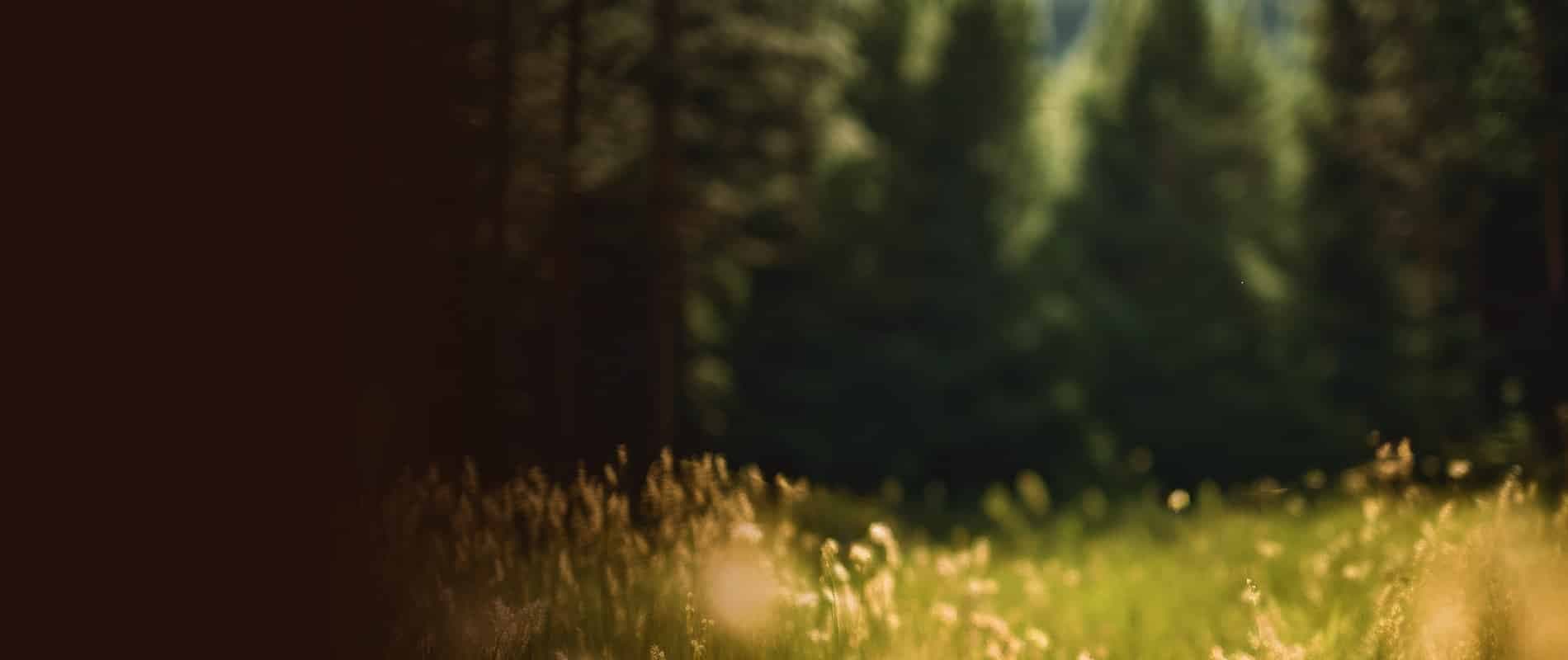 Healing Matters Psychotherapy and Wellness gallery image 1