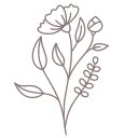 Holistic Spa & Laser Clinic