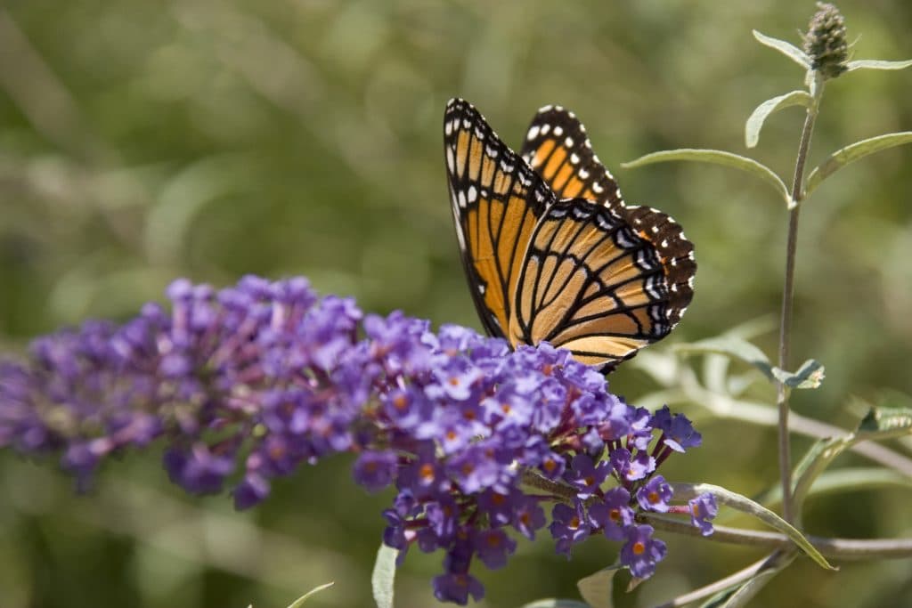 Loyola House gallery image 1