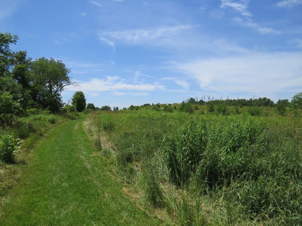 Loyola House gallery image 3