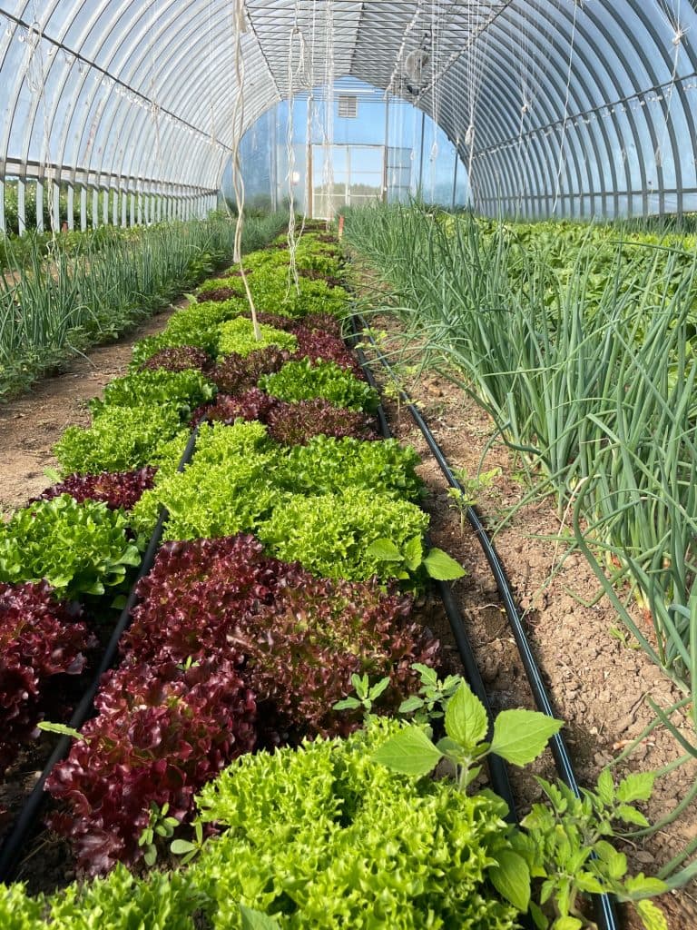 Loyola House gallery image 4