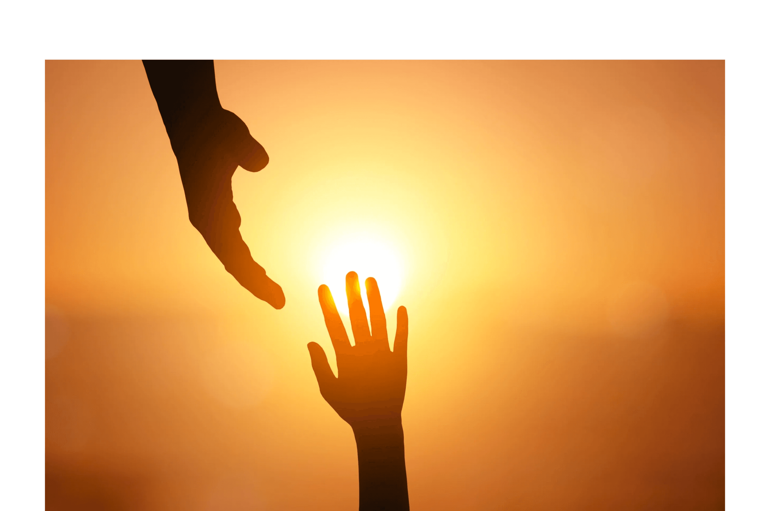 Holistic Psychoeducational Services logo