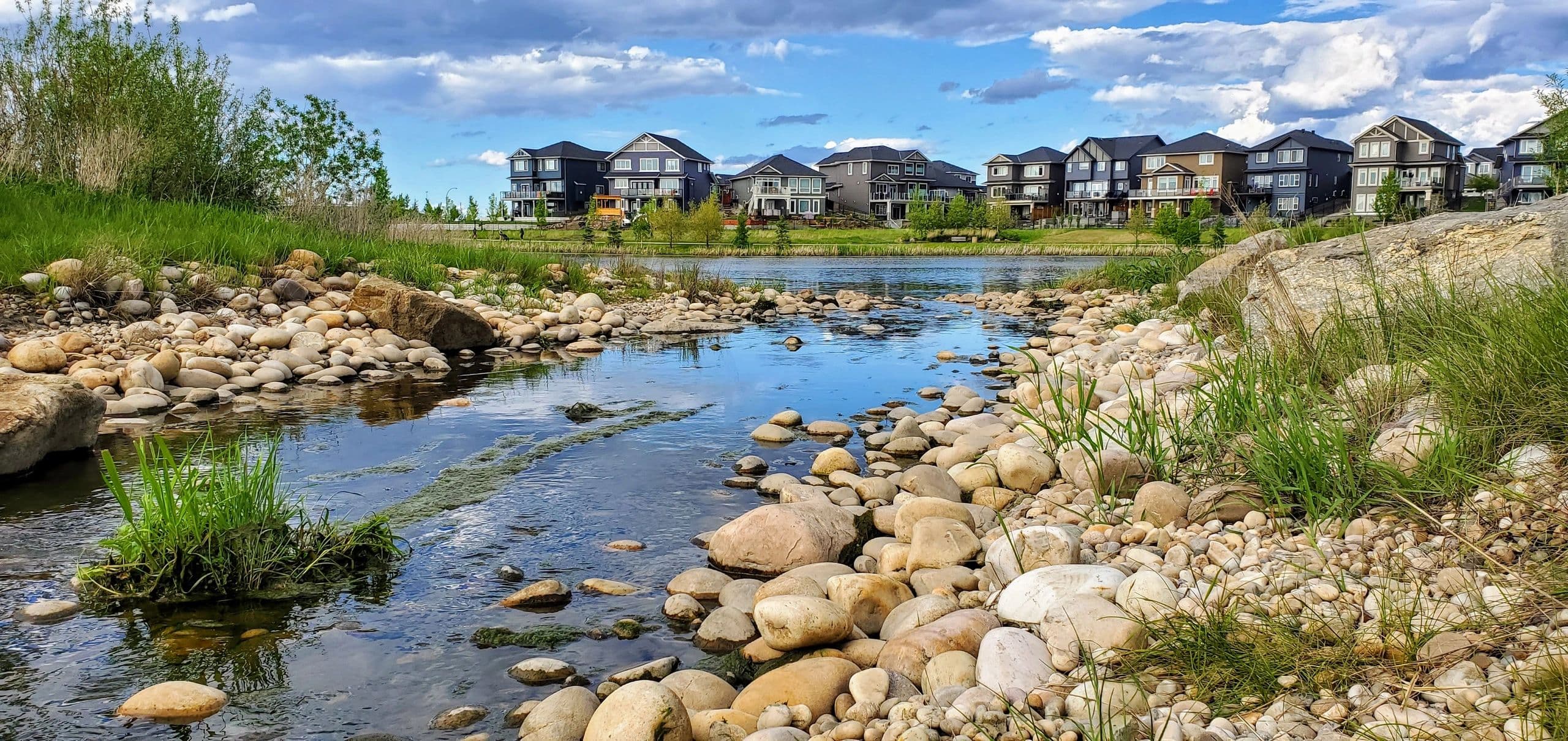 Hyacinth Heals Acupuncture logo