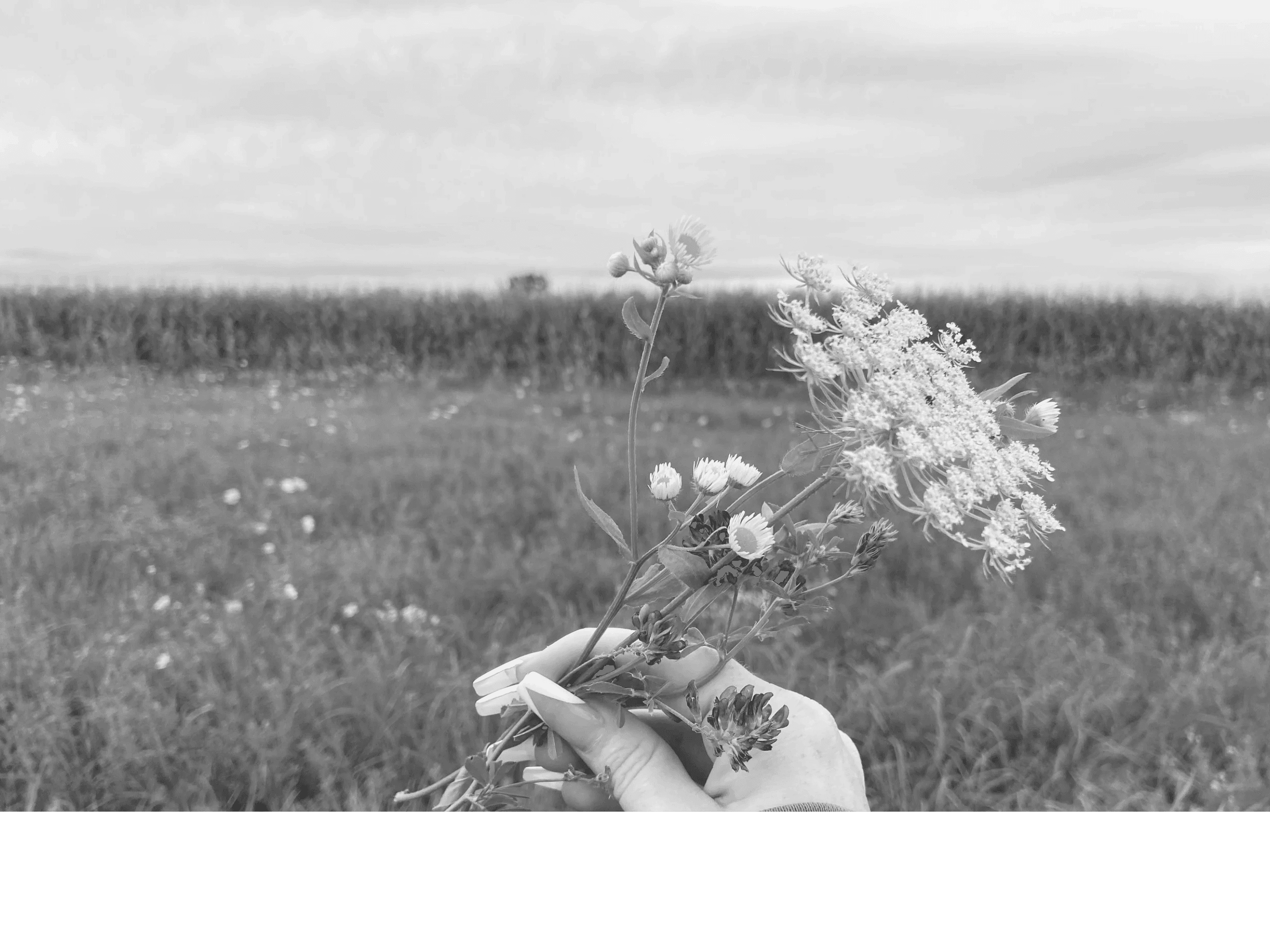 Full Mind to Mindful logo