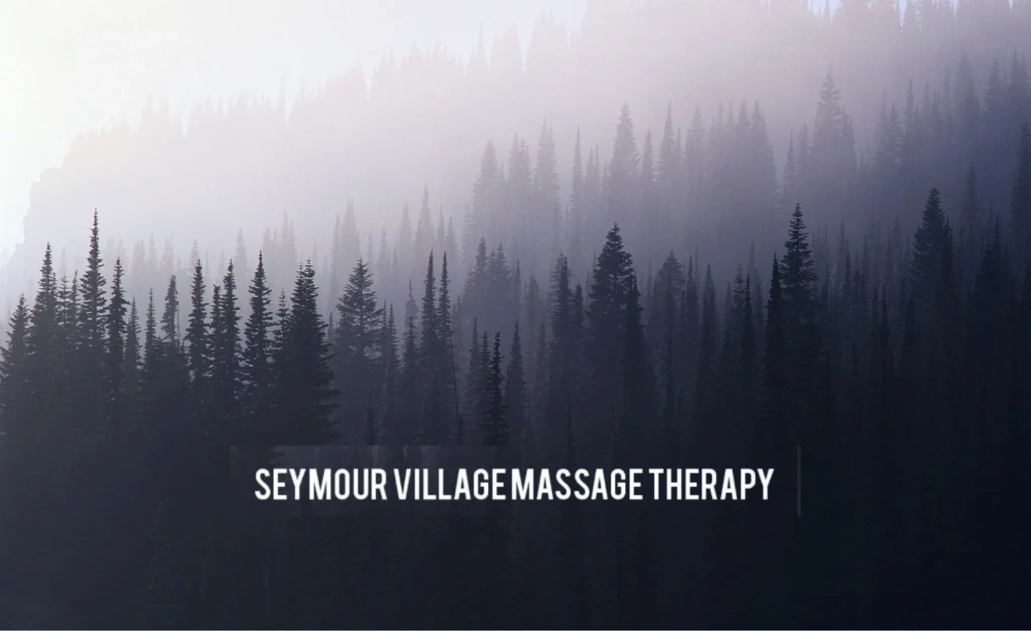 Seymour Village Massage Therapy | Patrick Renny, RMT logo