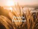 Prairie Sunrise Counselling logo