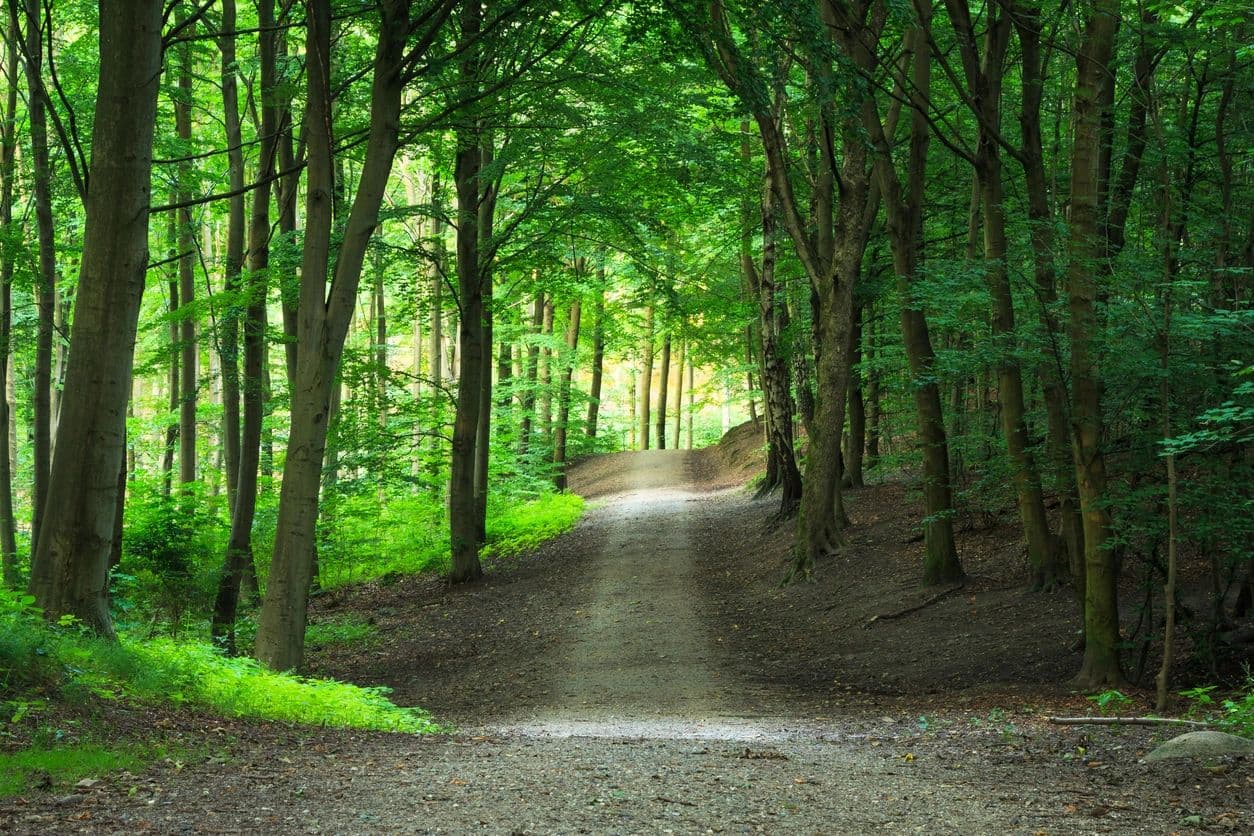 Transformational Change Inc logo