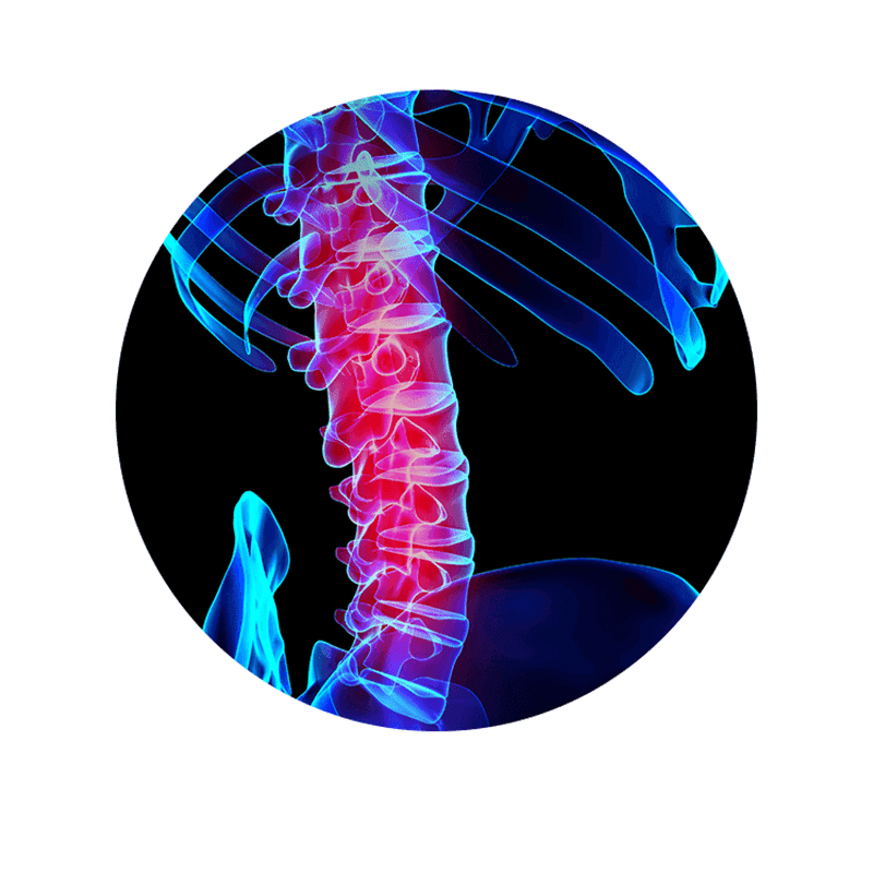 Impulse Fitness and Wellness - Gym in Port Coquitlam - Personal Trainers gallery image 3