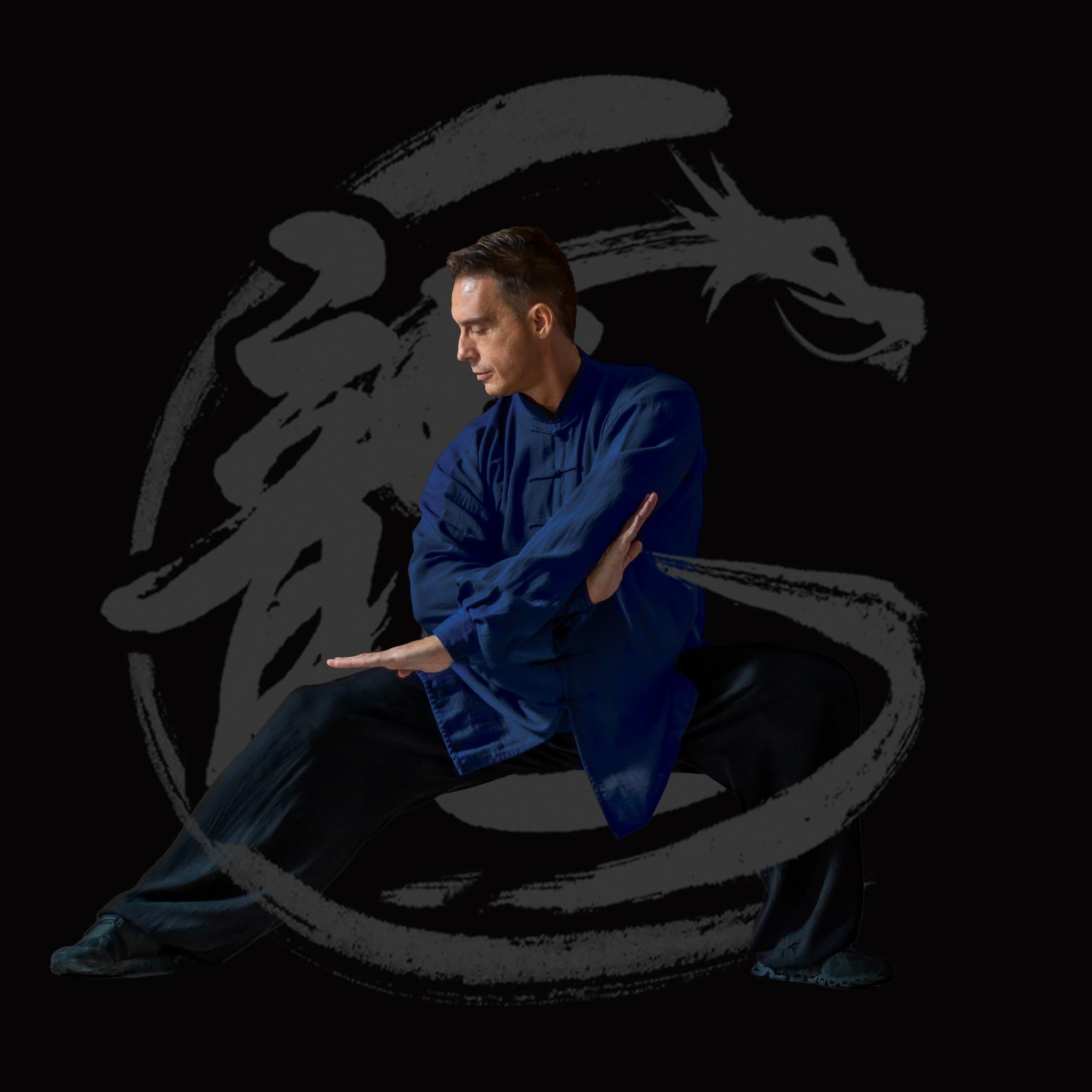 Institut Long Feng - Kung Fu, Tai Chi & Qi Gong logo