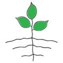 Jo Anne's Place Health Foods logo