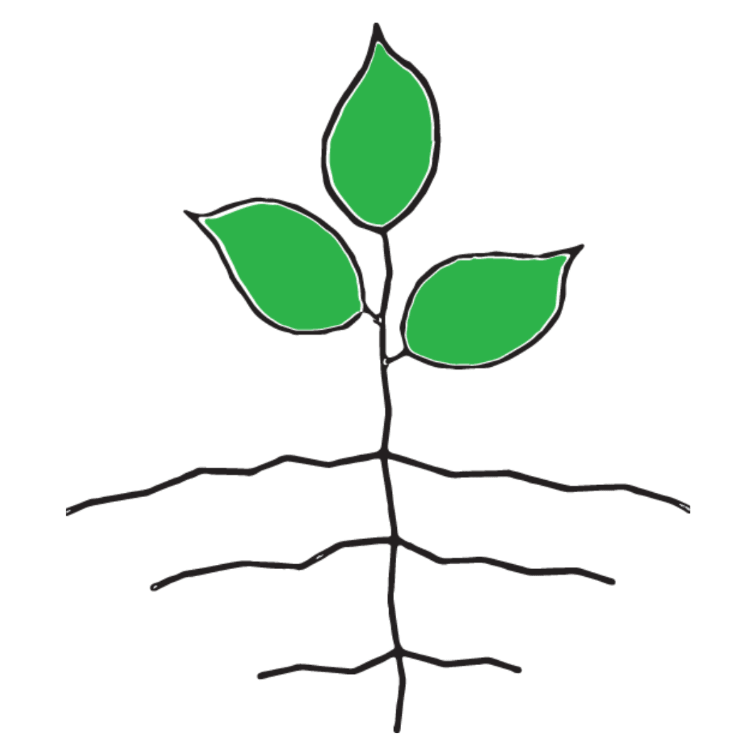 Jo Anne's Place Health Foods logo