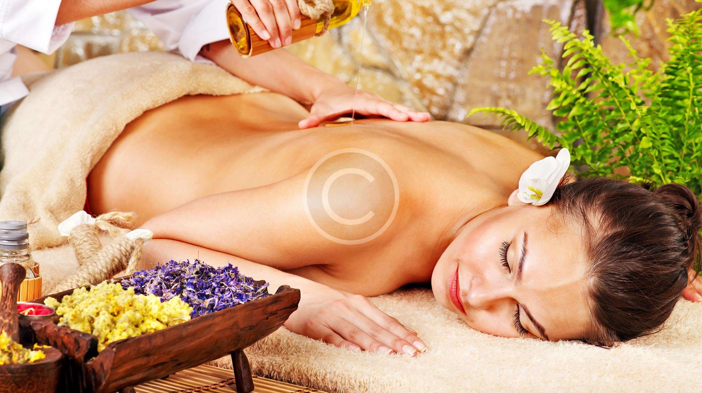 Centre de Massothérapie de Québec Inc logo