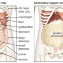 Mindful Acupuncture Health Clinic logo