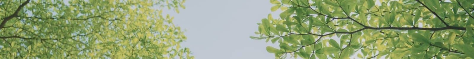 My Rest Health Studio