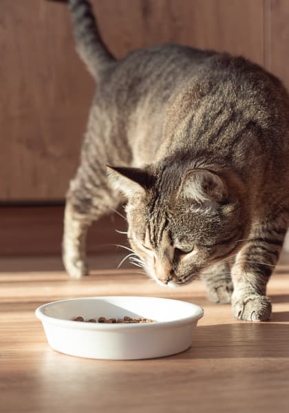 Nature’s Pride Nutrition Inc gallery image 2