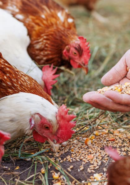 Nature’s Pride Nutrition Inc gallery image 4