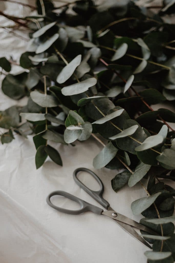 Naturopathie - Naturotheque gallery image 2