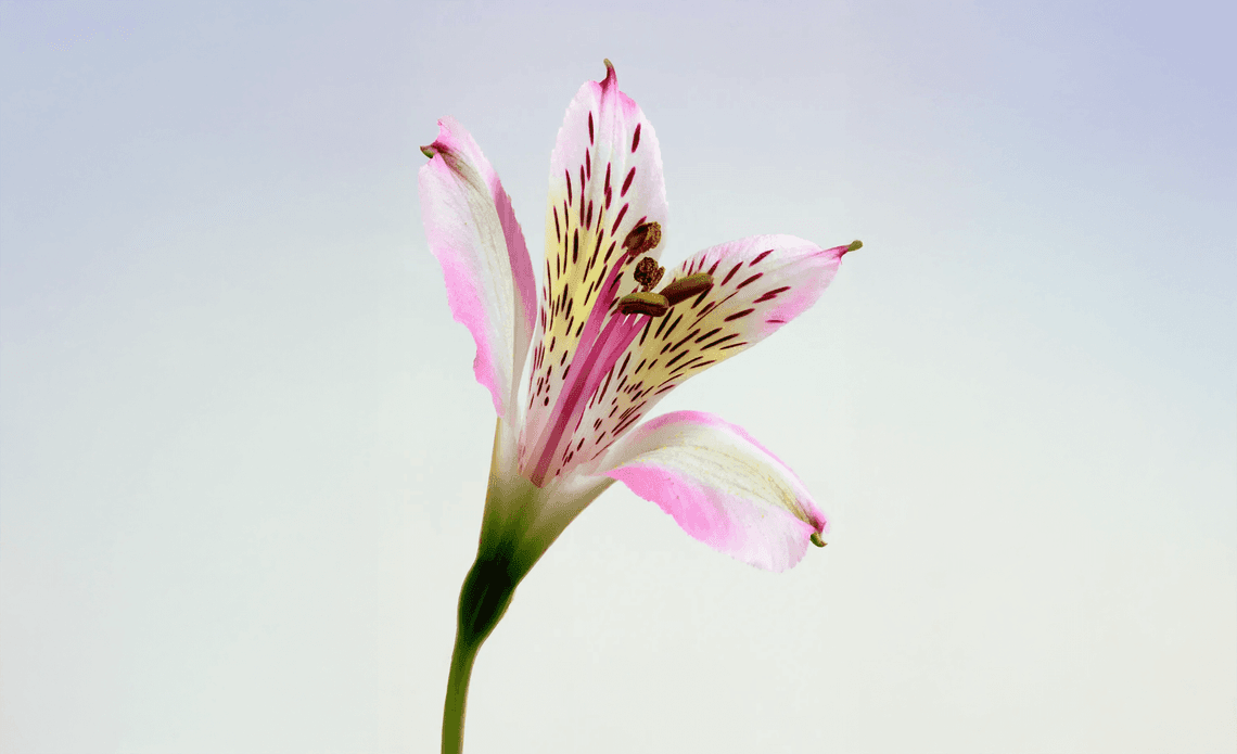 Generation Fertility Waterloo gallery image 3