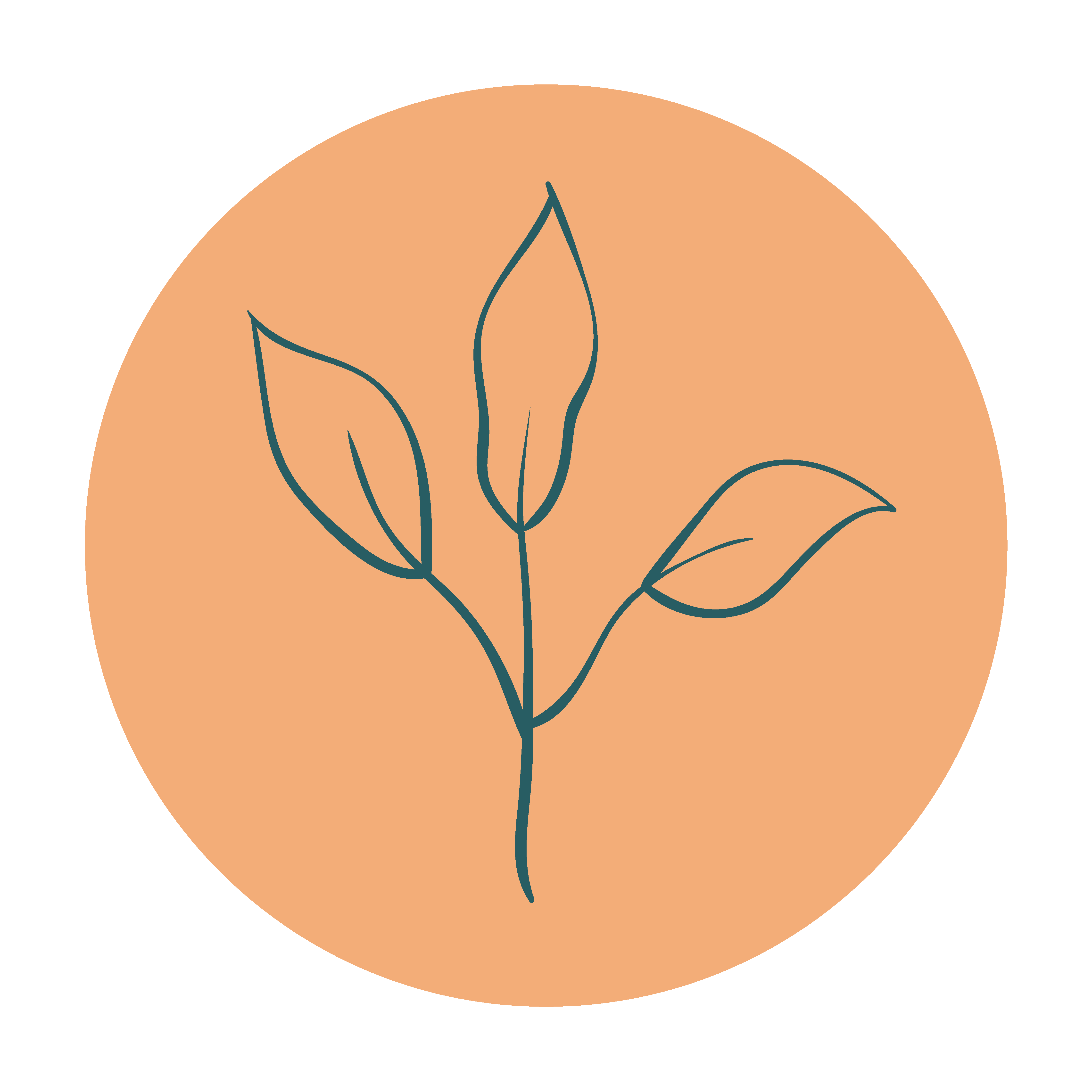 Orange Feather Well-being Haven gallery image 3