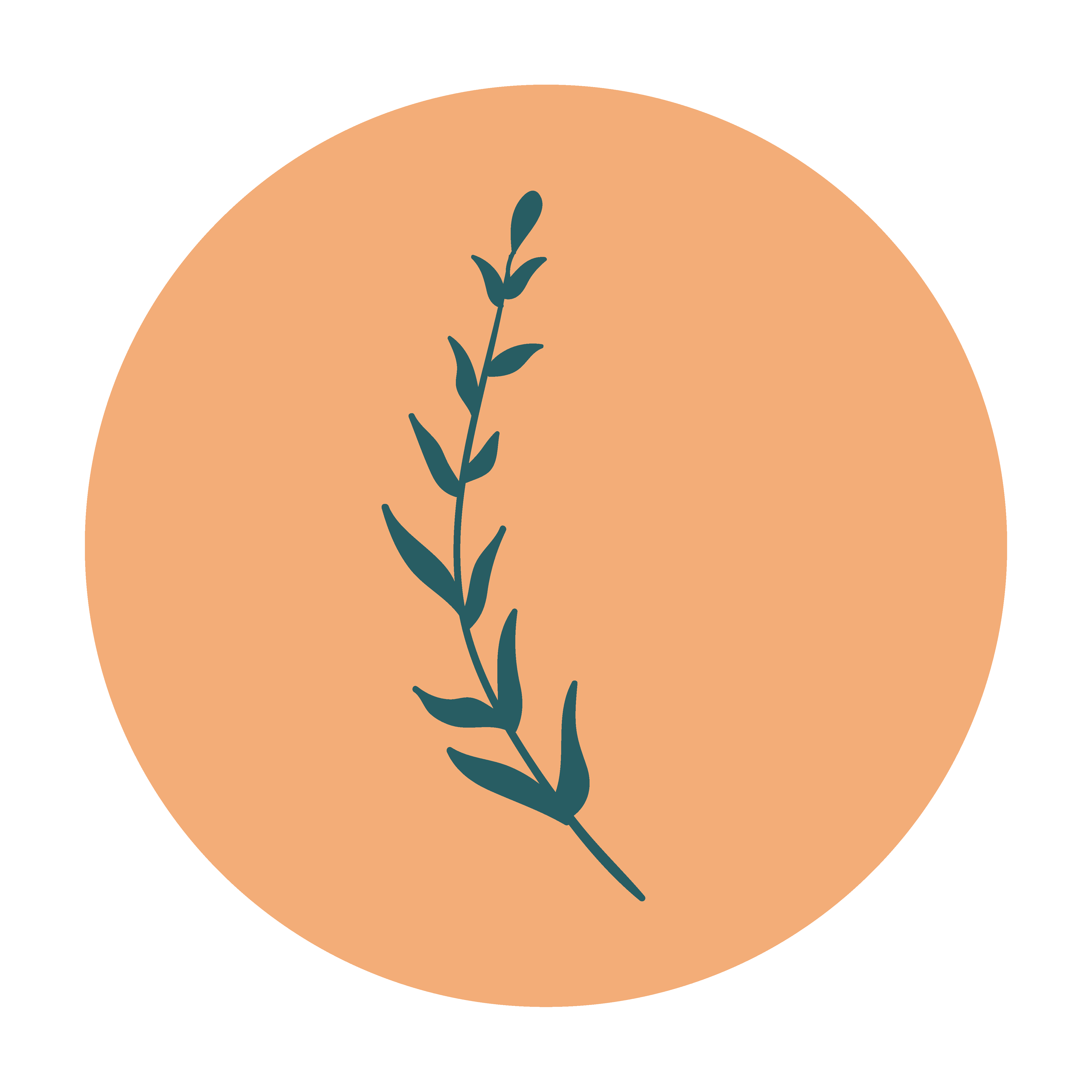 Orange Feather Well-being Haven gallery image 4