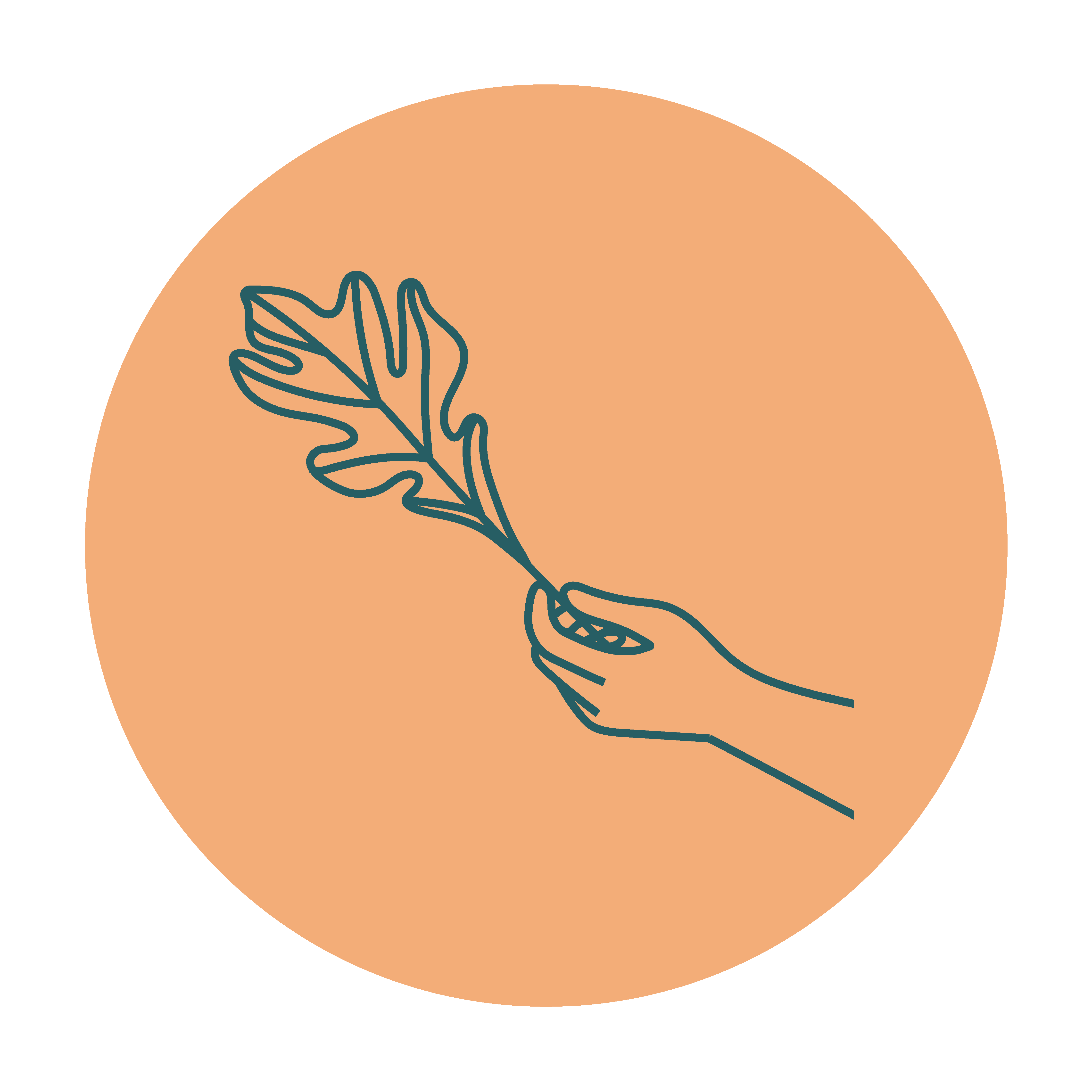 Orange Feather Well-being Haven gallery image 5