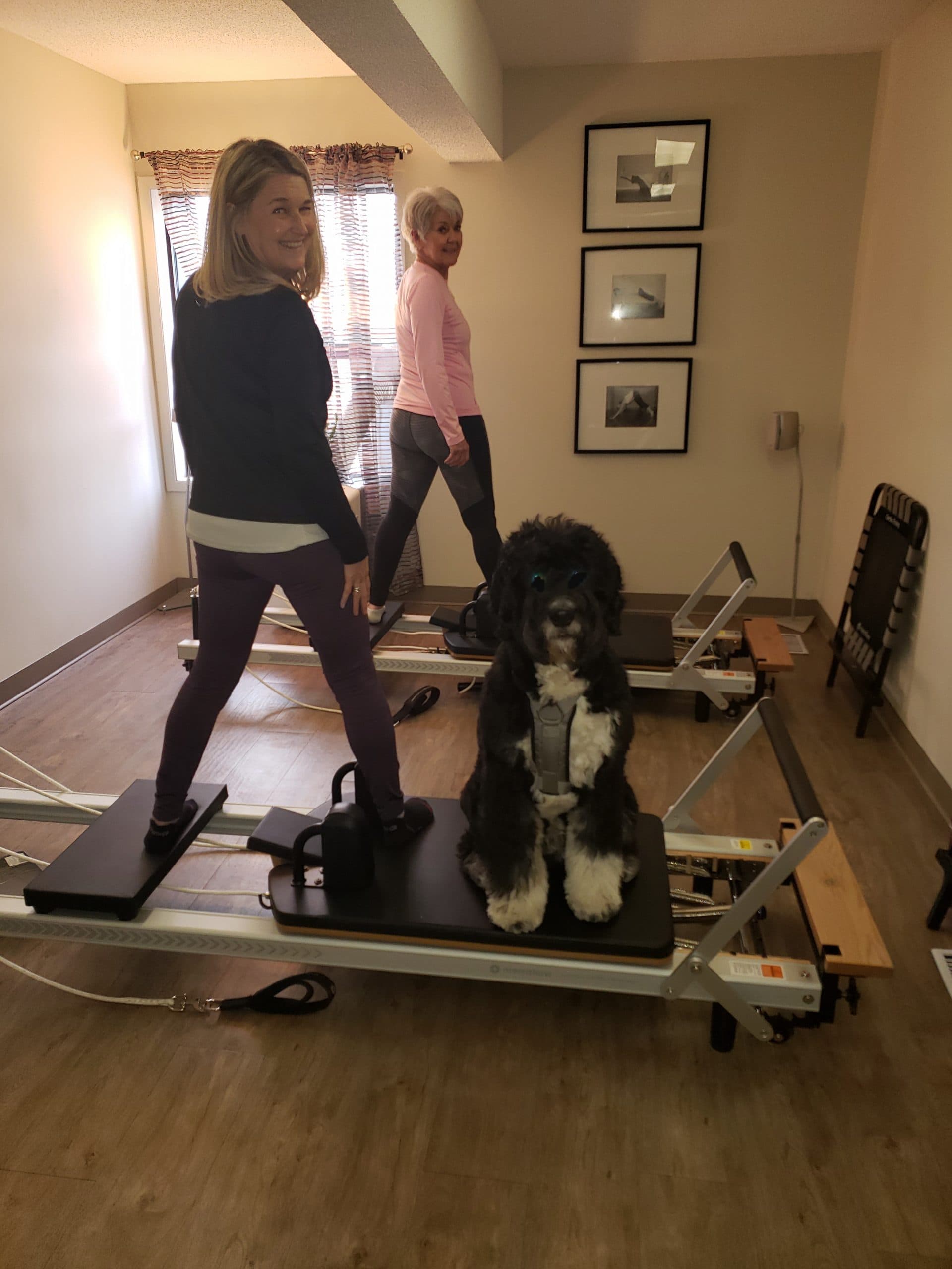 Pilatez.ca gallery image 2