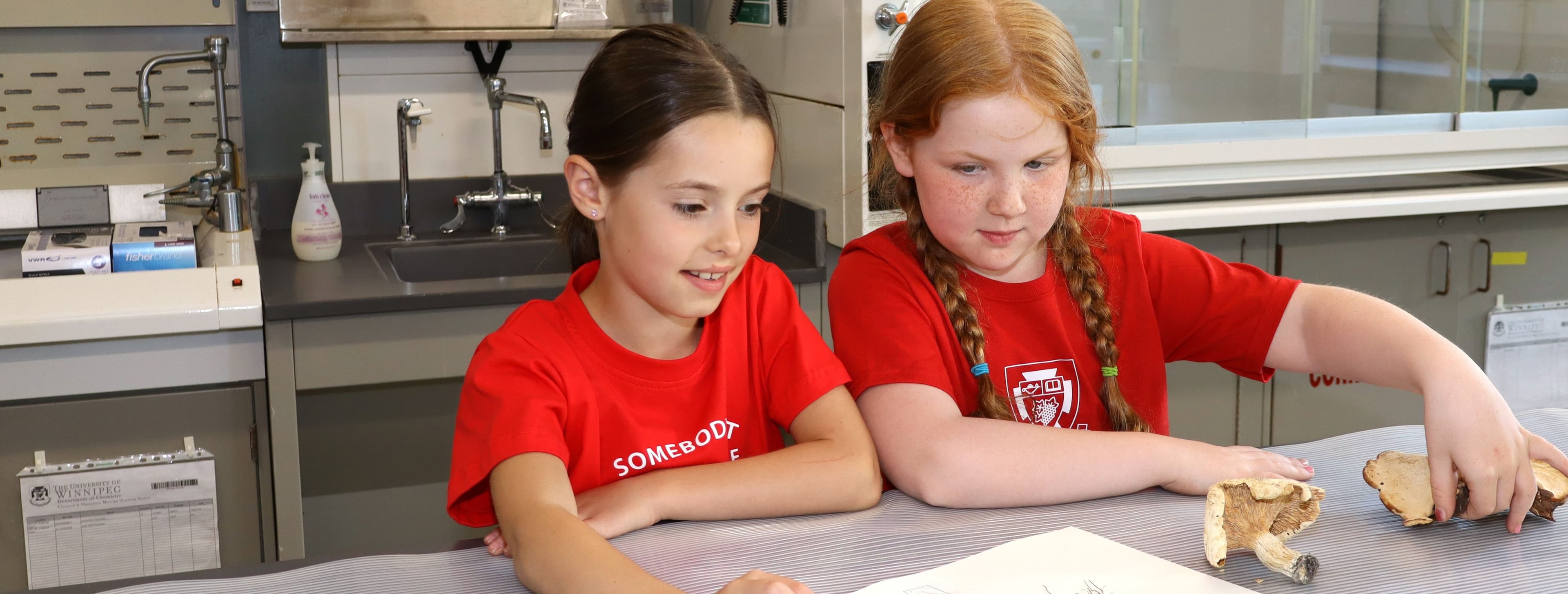 The Bill Wedlake Fitness Centre gallery image 3