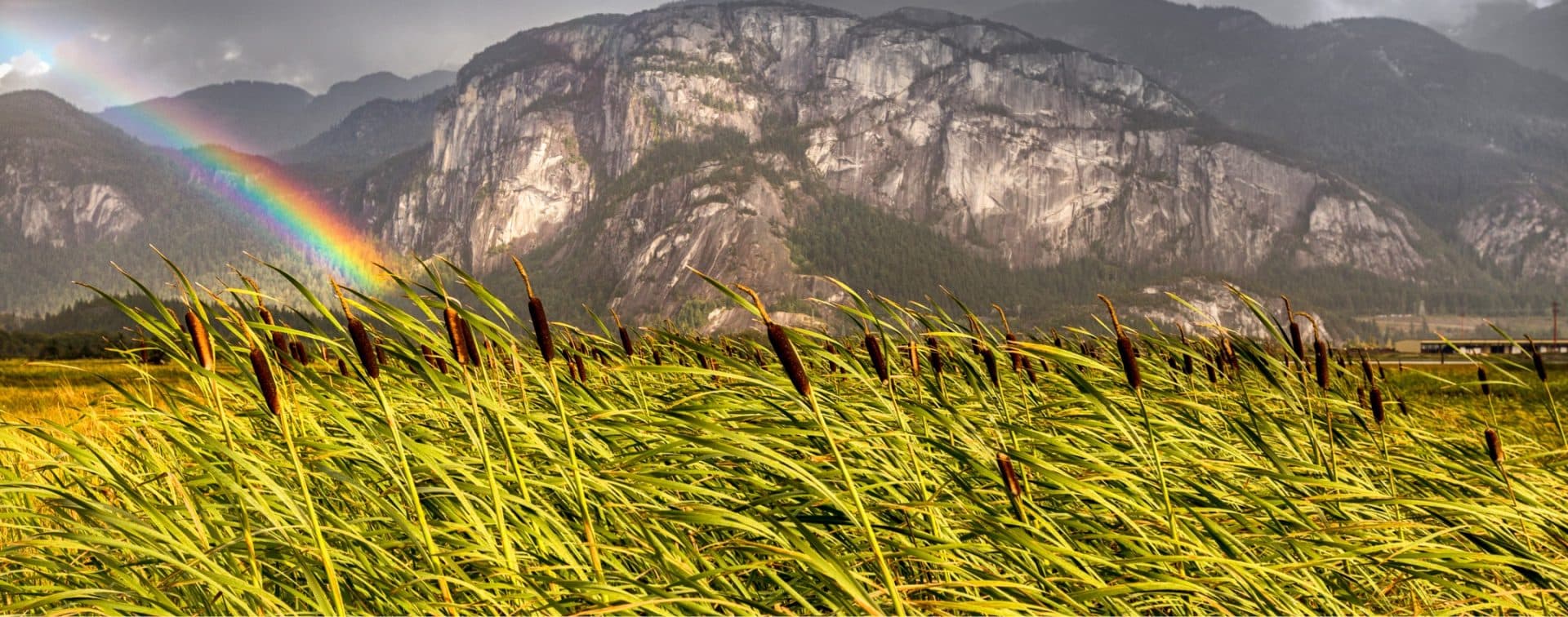 Andrea Lamont - Sea to Sky Acupuncture gallery image 1