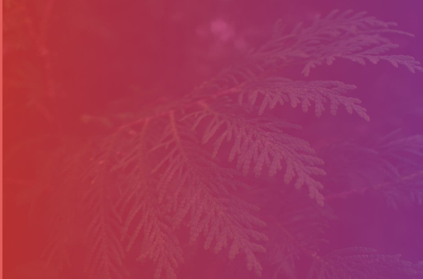 Squamish Lil'wat Cultural Centre gallery image 4