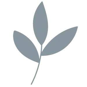 SMB Counselling Group gallery image 3