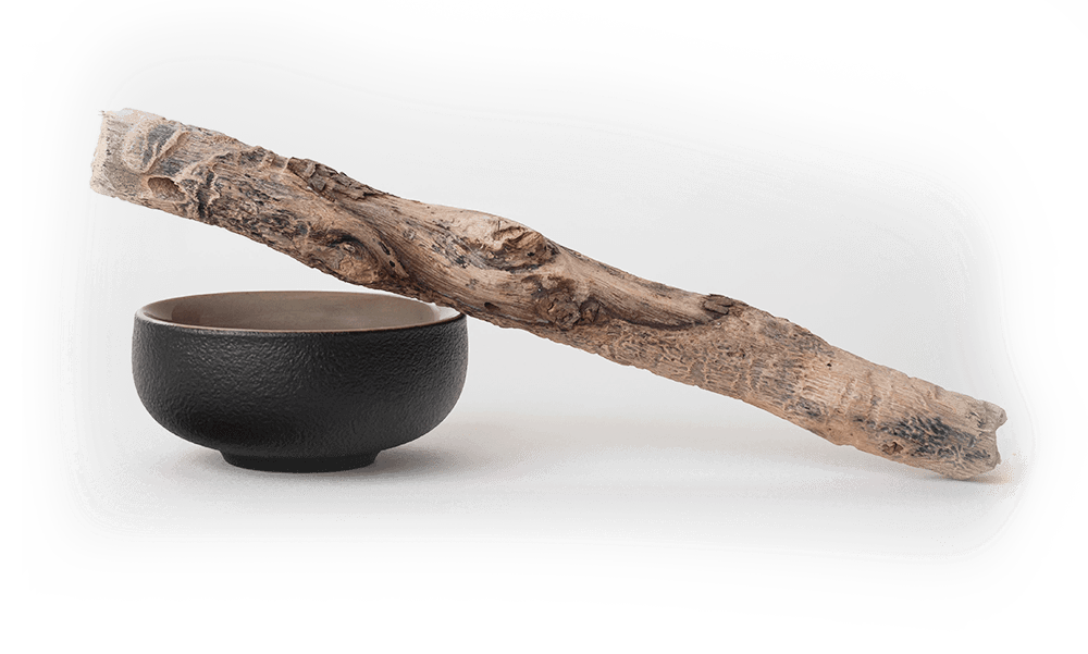 Spine Acupuncture Wellness Centre