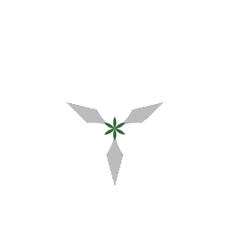 Wholistic Care Center