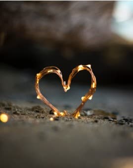 Stéphanie Labelle gallery image 3