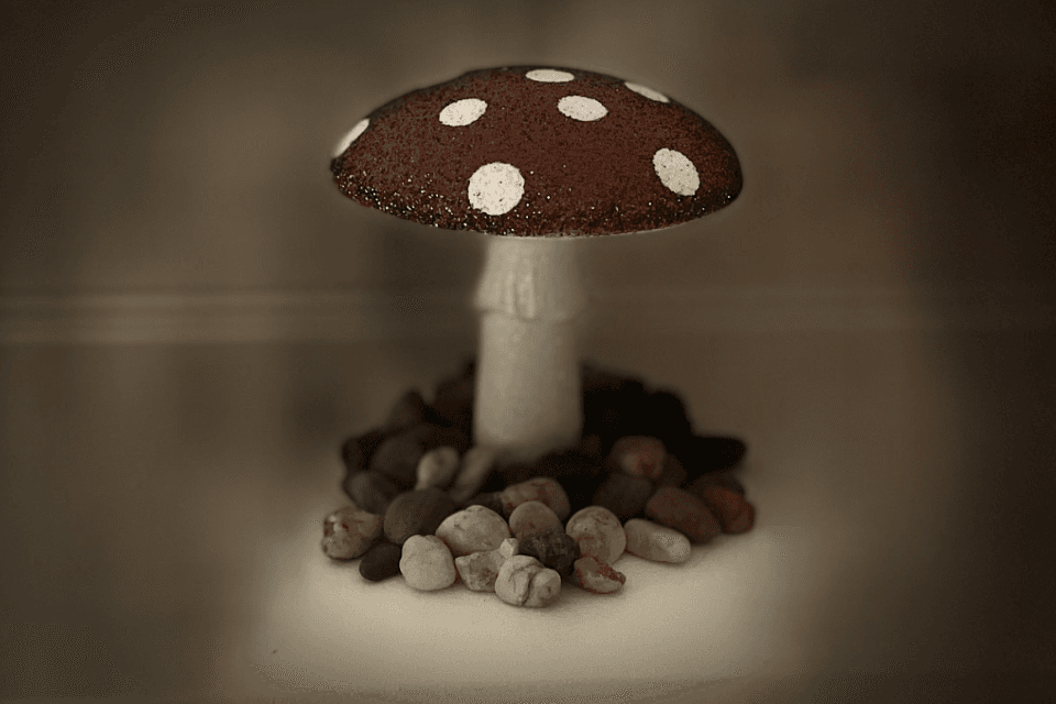 Mudita Yoga gallery image 3