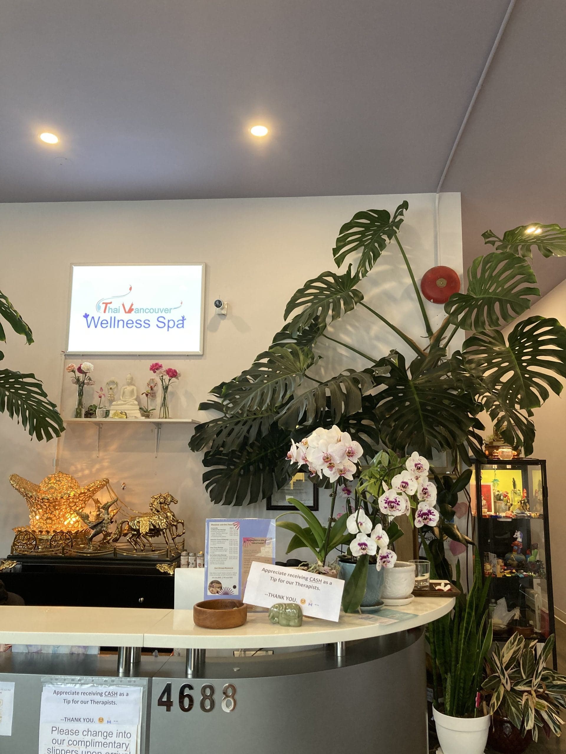 Thai Vancouver Wellness Spa Port Coquitlam logo