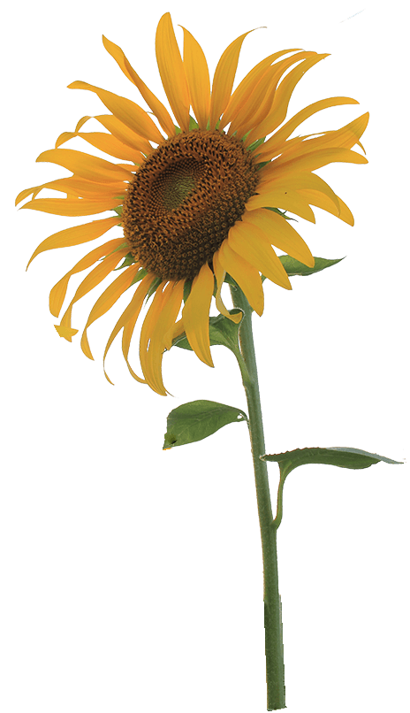 The Coaching Room gallery image 2