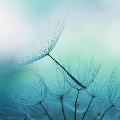 The Therapy Centre gallery image 5