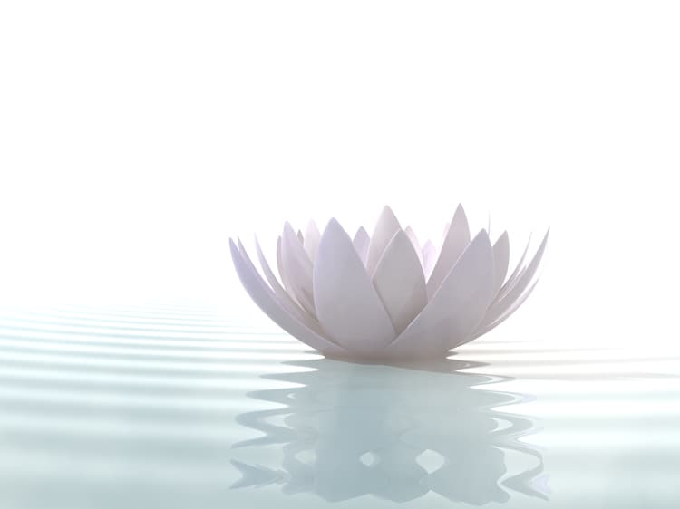 The Therapy Centre gallery image 4