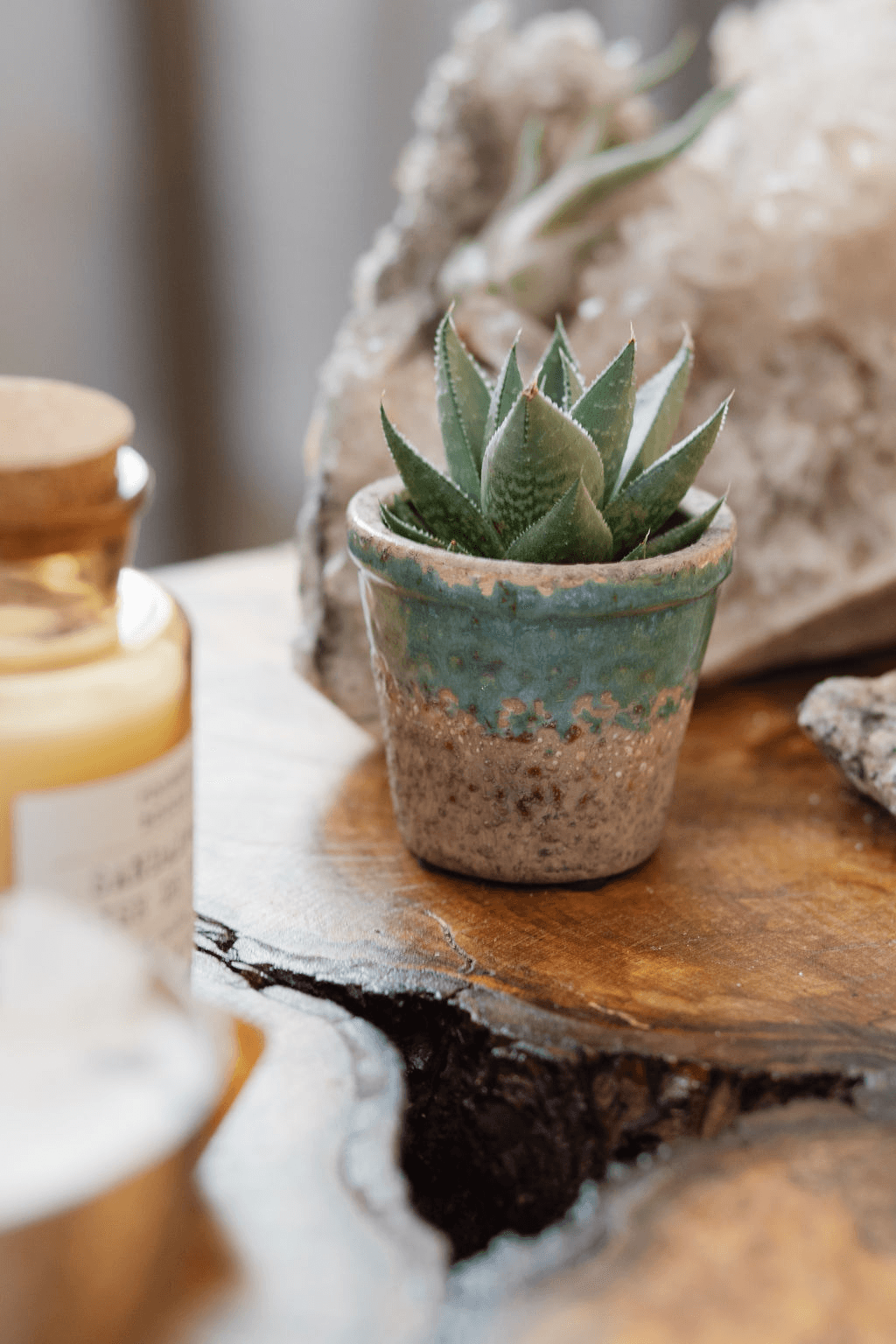 The Therapy Collective Psychotherapy & Wellness gallery image 4