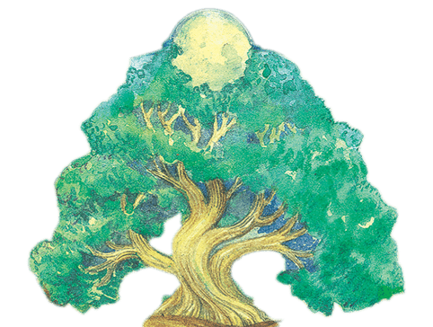 The Hive And Grove Centre for Holistic Wellness gallery image 4