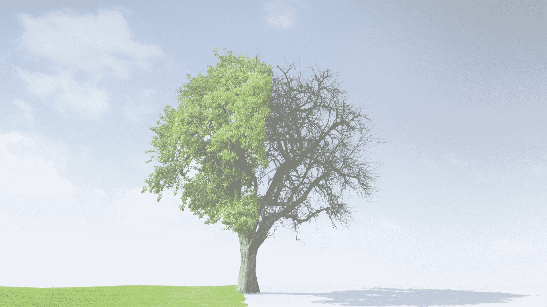 Virtuous Circle Counselling Calgary