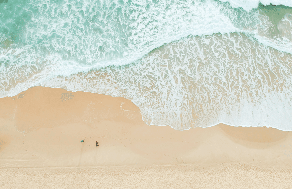 Vitality Psychotherapy and Wellness